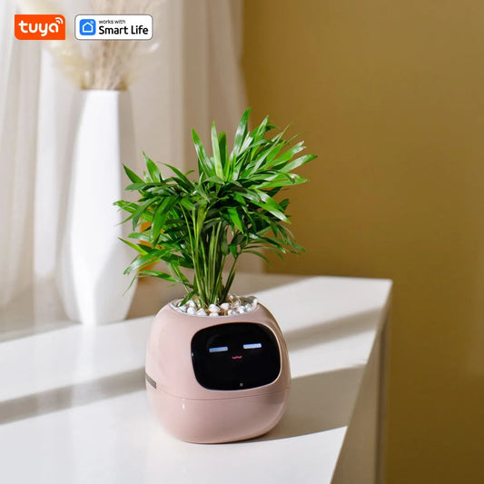 Vaso tuya ai |MITIKO MITIKO