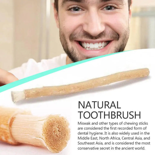Miswak Siwak Natural Toothbrush Misvak Traditional Travel Whitener Arak Miswaak Toothbrus Manual Teeth Soft J4E5